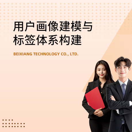 用户画像建模与标签体系构建